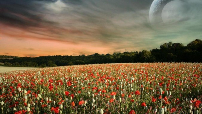 为什么国内的uni***一直没人讨论呢？